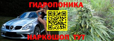 сатива Гусиноозёрск
