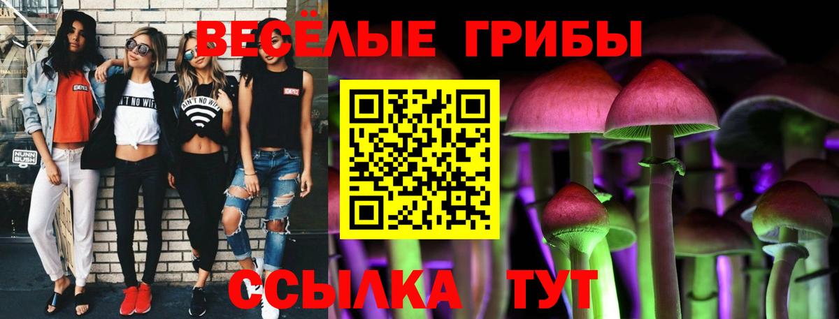 Лесной  купить наркотики цена  Вход с VPN  Псилоцибиновые грибы GOLDEN TEACHER  Псилоцибиновые грибы мухоморы 
